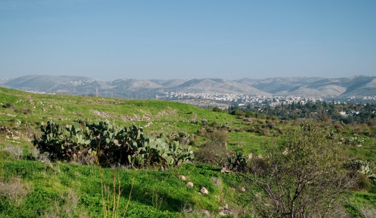 My Saturday afternoon hike up Givat HaTitora in photos