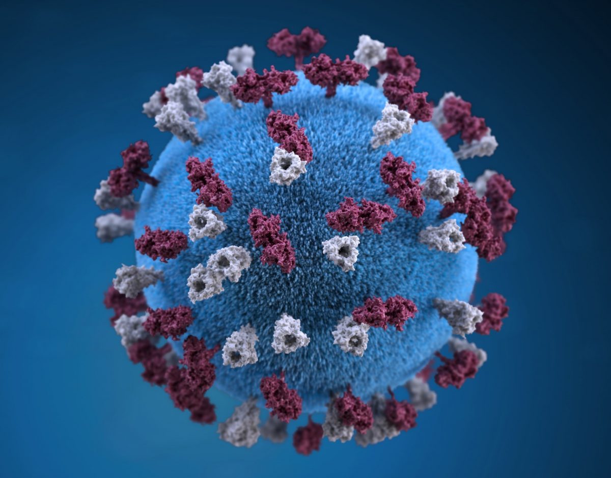 Photo of a virus by CDC on Unsplash